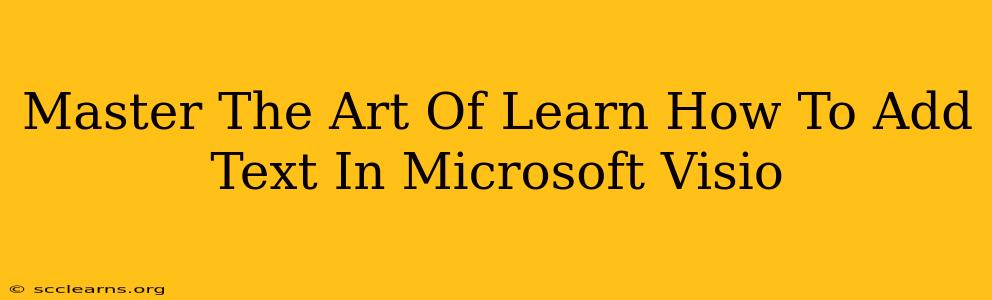 Master The Art Of Learn How To Add Text In Microsoft Visio