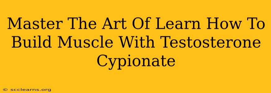 Master The Art Of Learn How To Build Muscle With Testosterone Cypionate