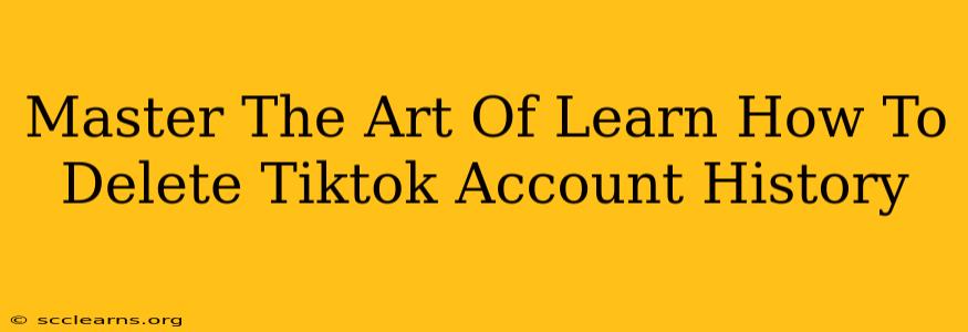 Master The Art Of Learn How To Delete Tiktok Account History