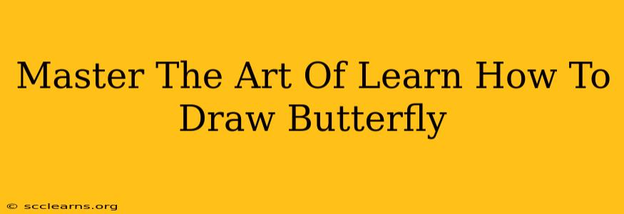 Master The Art Of Learn How To Draw Butterfly