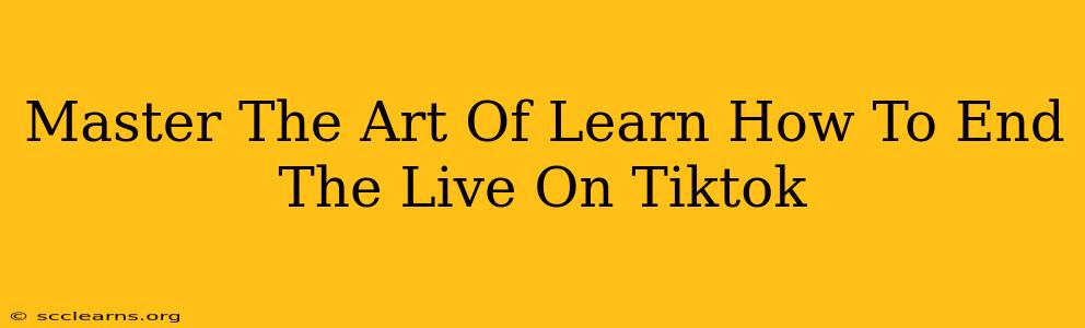 Master The Art Of Learn How To End The Live On Tiktok