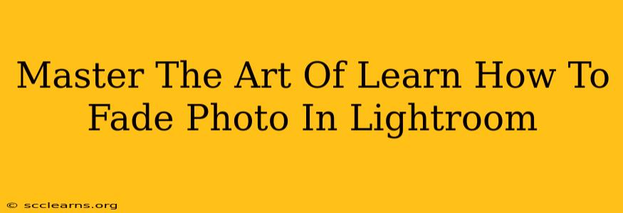 Master The Art Of Learn How To Fade Photo In Lightroom