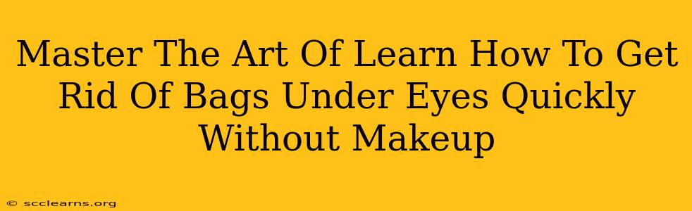 Master The Art Of Learn How To Get Rid Of Bags Under Eyes Quickly Without Makeup