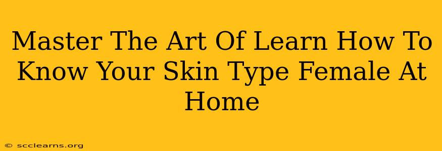 Master The Art Of Learn How To Know Your Skin Type Female At Home