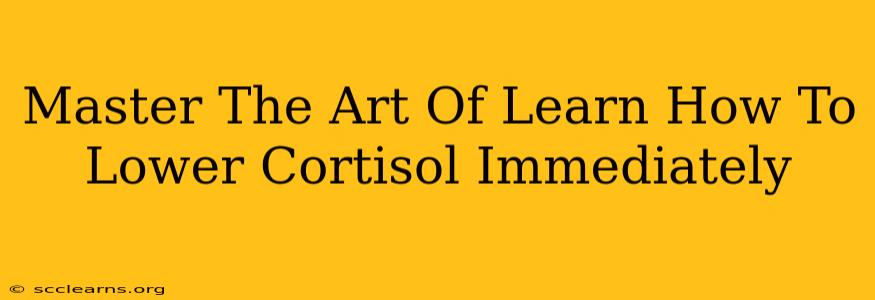 Master The Art Of Learn How To Lower Cortisol Immediately