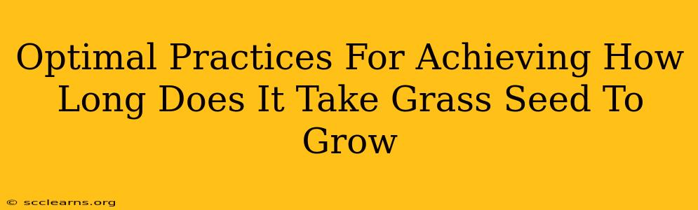 Optimal Practices For Achieving How Long Does It Take Grass Seed To Grow