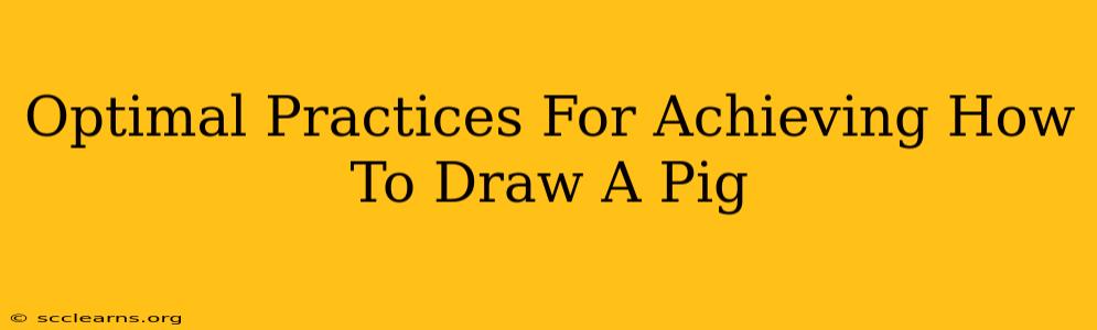 Optimal Practices For Achieving How To Draw A Pig