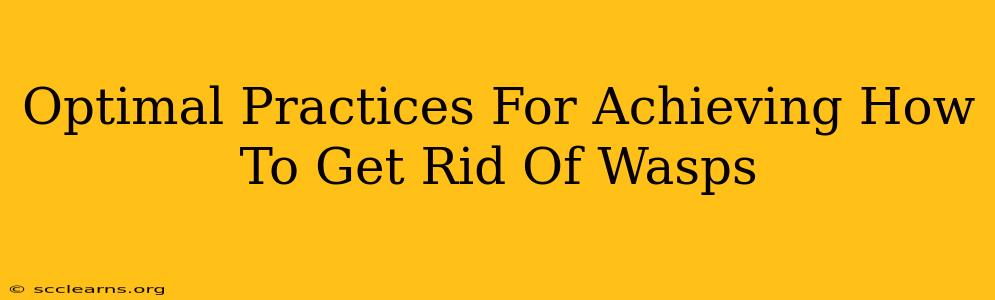 Optimal Practices For Achieving How To Get Rid Of Wasps