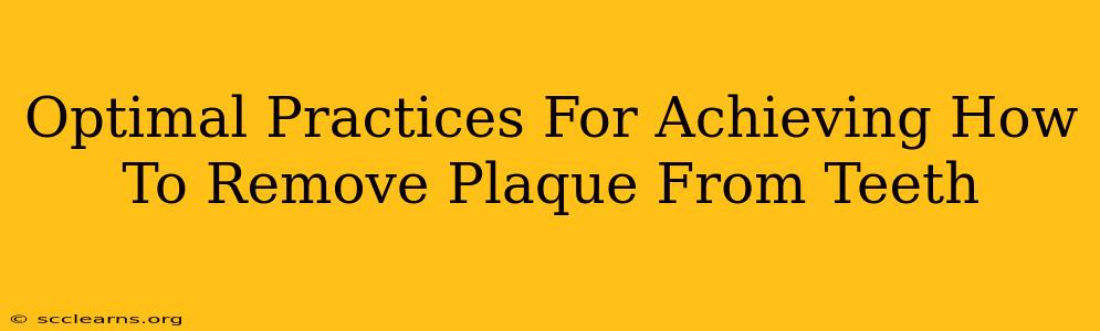 Optimal Practices For Achieving How To Remove Plaque From Teeth