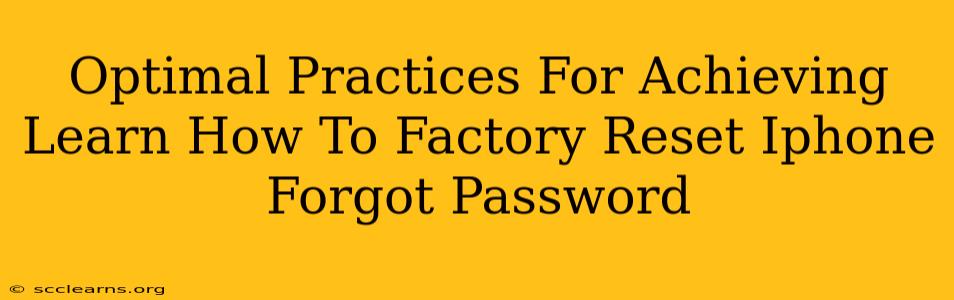 Optimal Practices For Achieving Learn How To Factory Reset Iphone Forgot Password