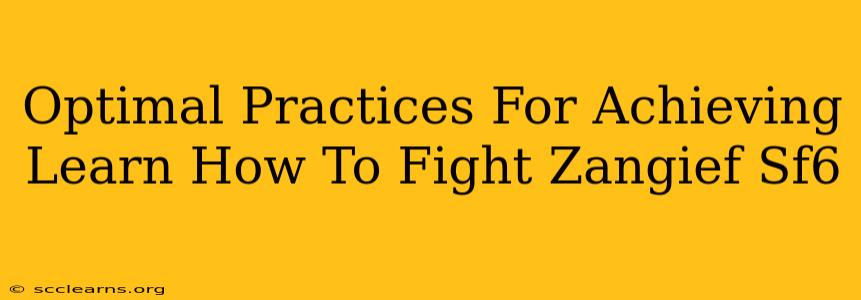 Optimal Practices For Achieving Learn How To Fight Zangief Sf6