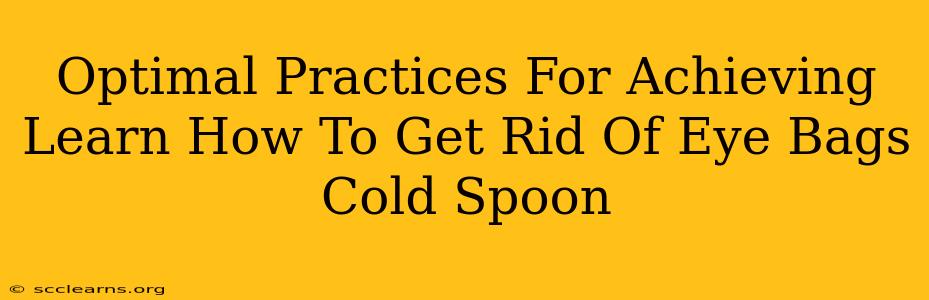 Optimal Practices For Achieving Learn How To Get Rid Of Eye Bags Cold Spoon