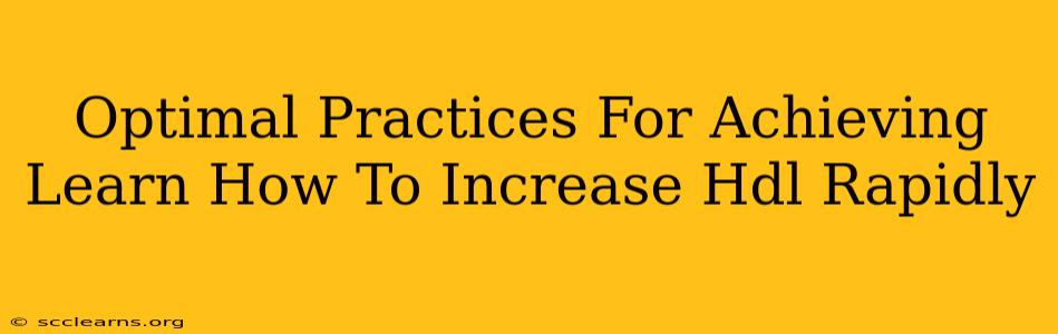 Optimal Practices For Achieving Learn How To Increase Hdl Rapidly