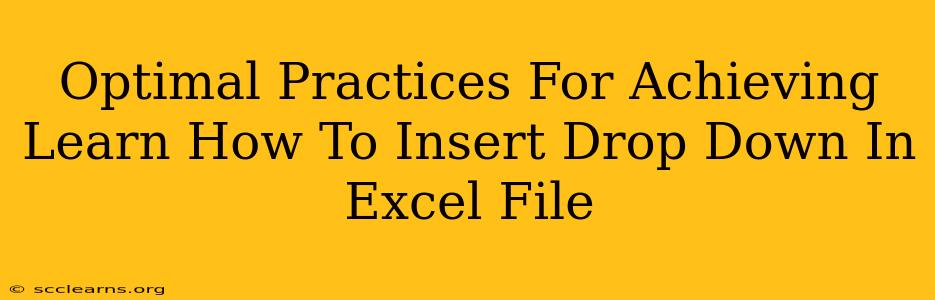 Optimal Practices For Achieving Learn How To Insert Drop Down In Excel File