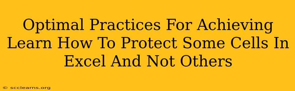 Optimal Practices For Achieving Learn How To Protect Some Cells In Excel And Not Others