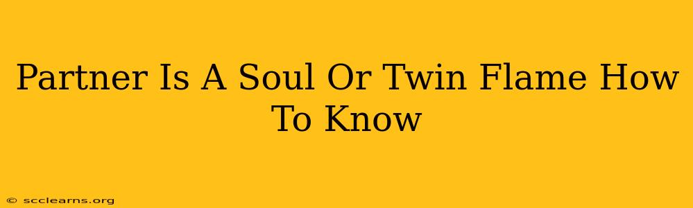 Partner Is A Soul Or Twin Flame How To Know