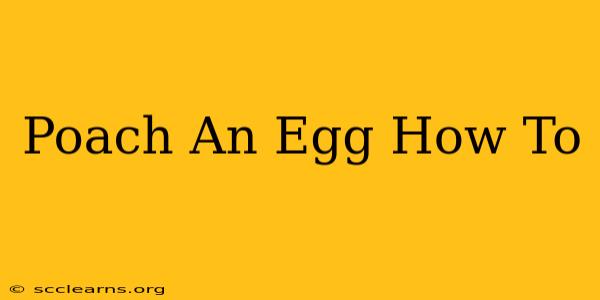 Poach An Egg How To