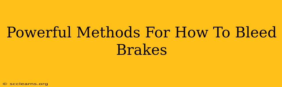 Powerful Methods For How To Bleed Brakes