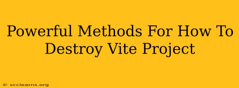 Powerful Methods For How To Destroy Vite Project