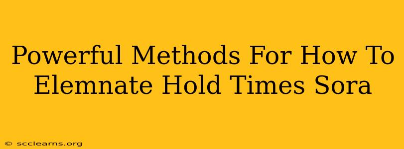 Powerful Methods For How To Elemnate Hold Times Sora