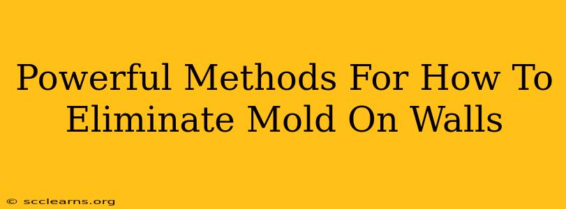 Powerful Methods For How To Eliminate Mold On Walls