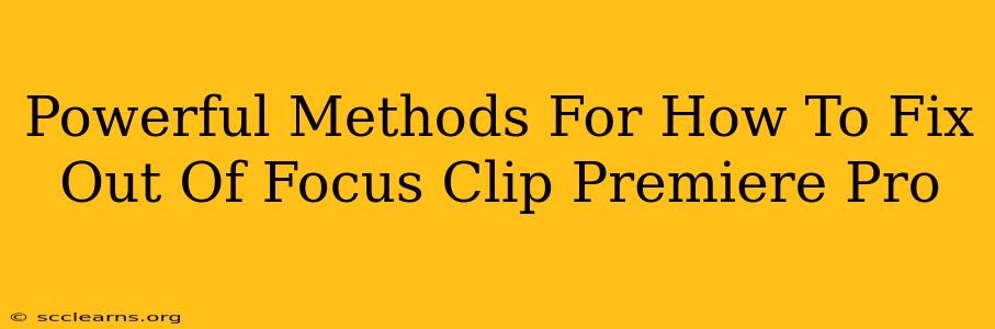 Powerful Methods For How To Fix Out Of Focus Clip Premiere Pro