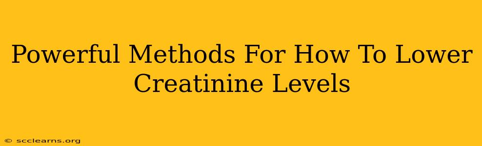 Powerful Methods For How To Lower Creatinine Levels