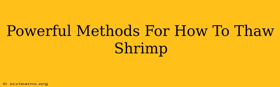 Powerful Methods For How To Thaw Shrimp