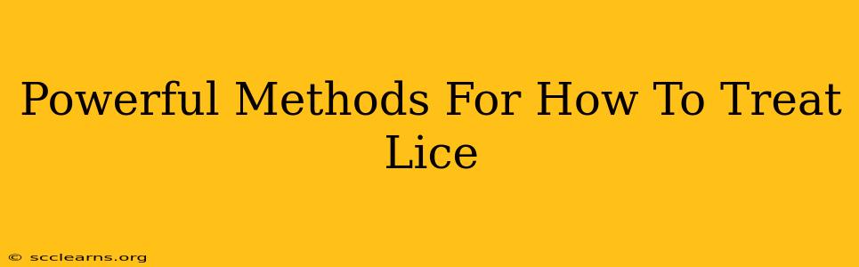 Powerful Methods For How To Treat Lice