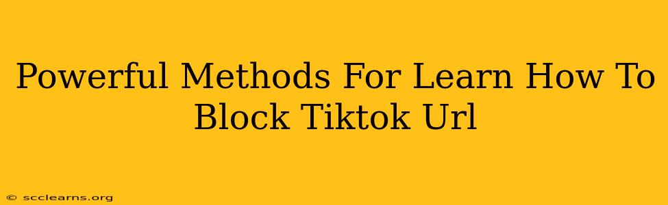 Powerful Methods For Learn How To Block Tiktok Url