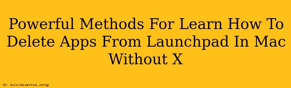 Powerful Methods For Learn How To Delete Apps From Launchpad In Mac Without X