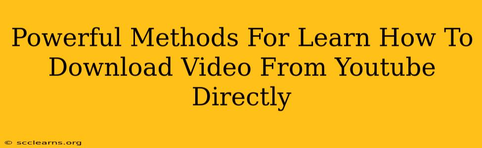 Powerful Methods For Learn How To Download Video From Youtube Directly