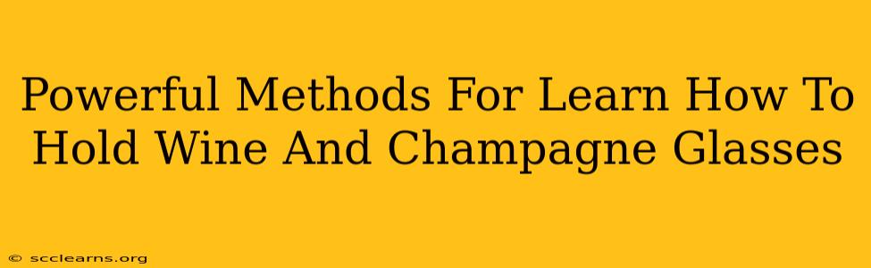 Powerful Methods For Learn How To Hold Wine And Champagne Glasses