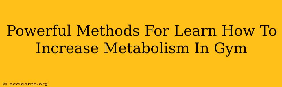 Powerful Methods For Learn How To Increase Metabolism In Gym