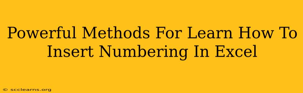 Powerful Methods For Learn How To Insert Numbering In Excel