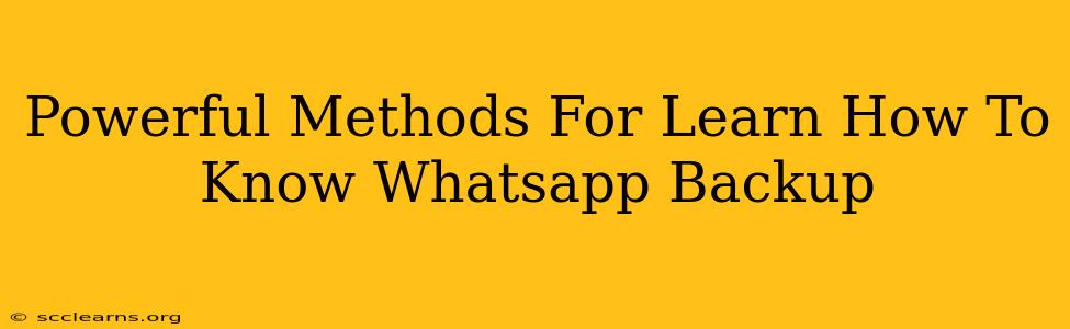 Powerful Methods For Learn How To Know Whatsapp Backup