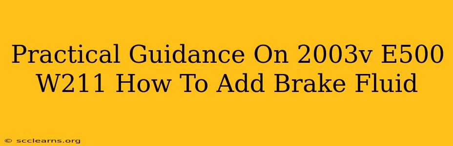 Practical Guidance On 2003v E500 W211 How To Add Brake Fluid