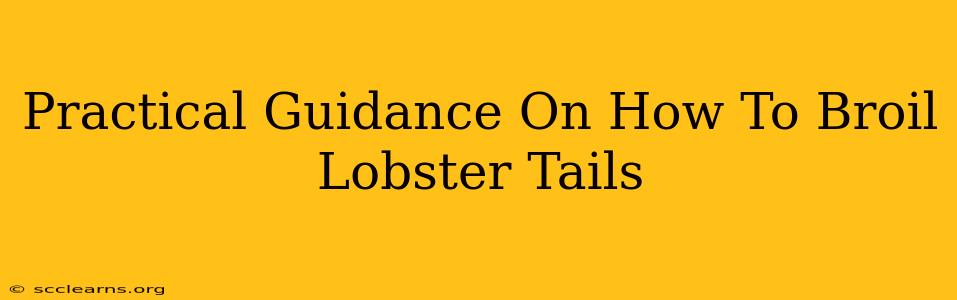 Practical Guidance On How To Broil Lobster Tails