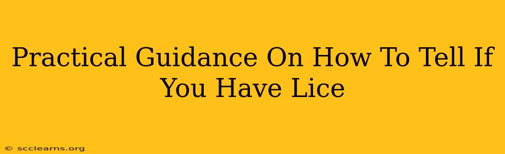 Practical Guidance On How To Tell If You Have Lice