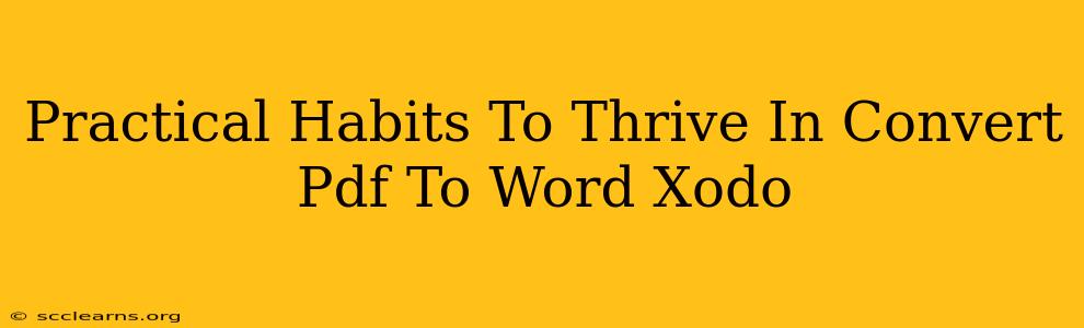 Practical Habits To Thrive In Convert Pdf To Word Xodo