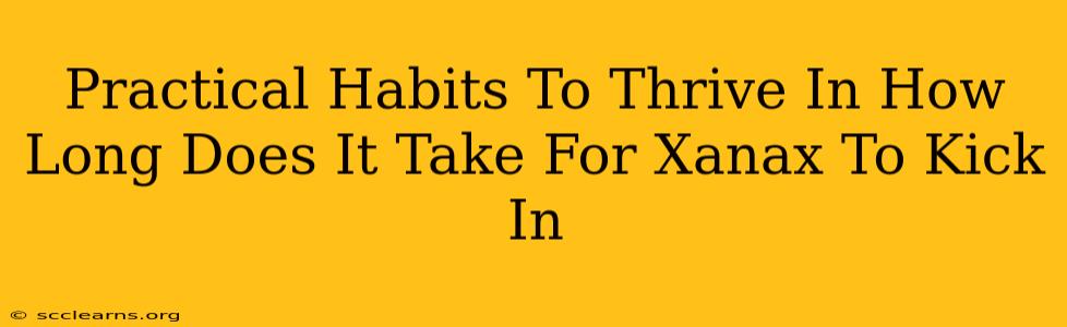 Practical Habits To Thrive In How Long Does It Take For Xanax To Kick In