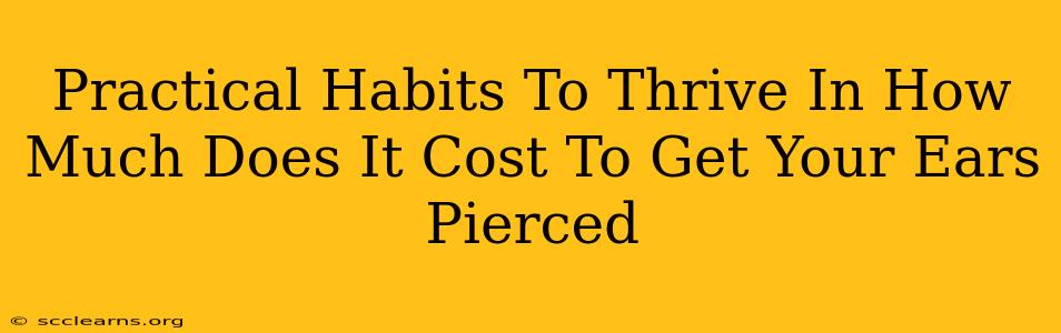 Practical Habits To Thrive In How Much Does It Cost To Get Your Ears Pierced