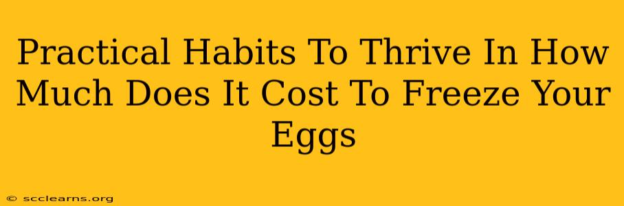 Practical Habits To Thrive In How Much Does It Cost To Freeze Your Eggs