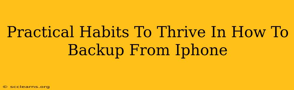 Practical Habits To Thrive In How To Backup From Iphone