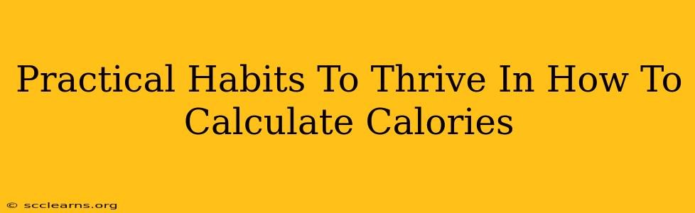 Practical Habits To Thrive In How To Calculate Calories