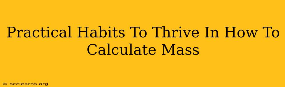 Practical Habits To Thrive In How To Calculate Mass