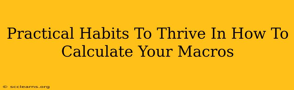 Practical Habits To Thrive In How To Calculate Your Macros