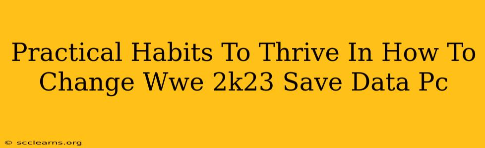 Practical Habits To Thrive In How To Change Wwe 2k23 Save Data Pc