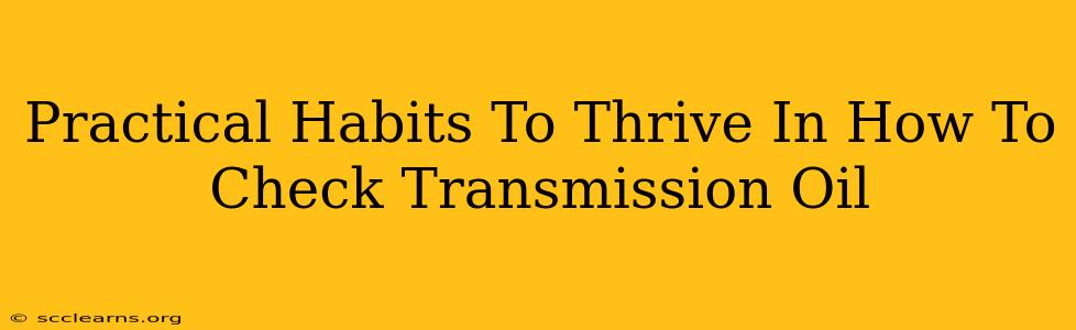 Practical Habits To Thrive In How To Check Transmission Oil