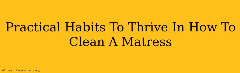 Practical Habits To Thrive In How To Clean A Matress